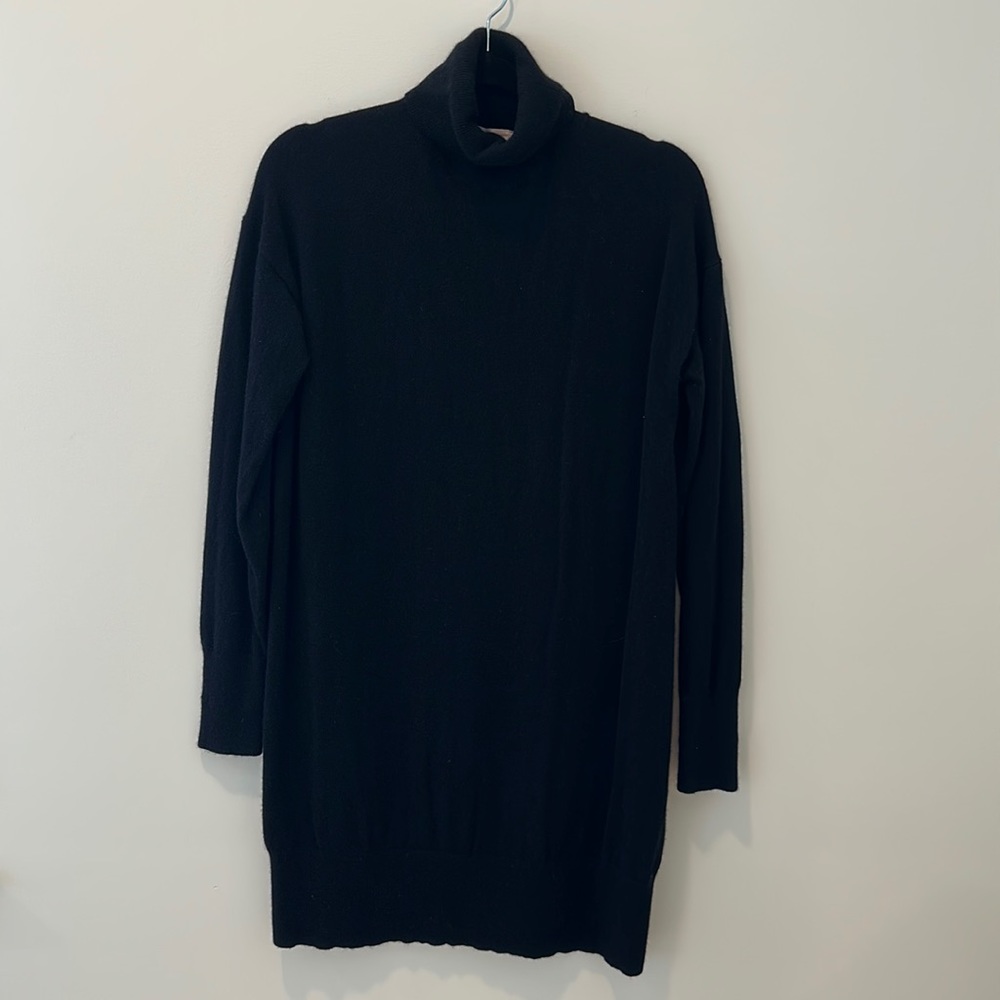 Everlane Cashmere Turtleneck Sweater Mini Dress in Black Size M